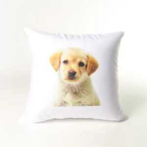 POPillow Design Pets Faces Pillow 2024, New Arrival;